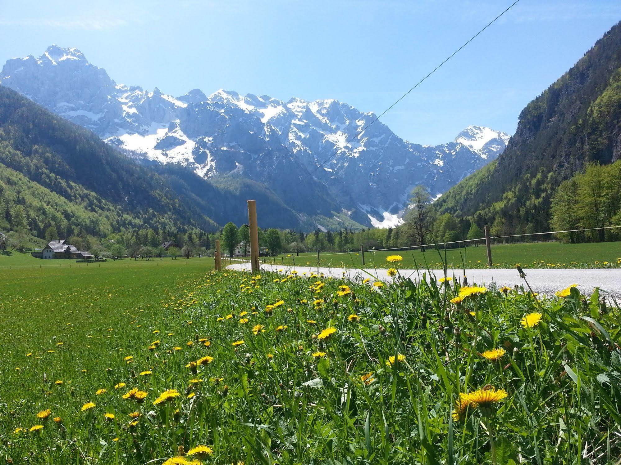 Plesnik Logarska Dolina 4*