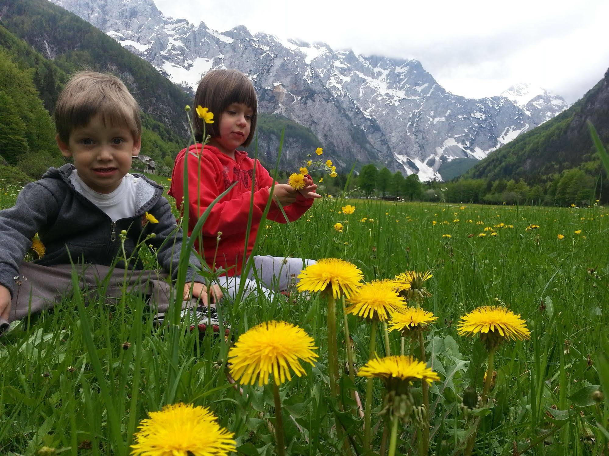 Hotel Plesnik Logarska Dolina Solčava